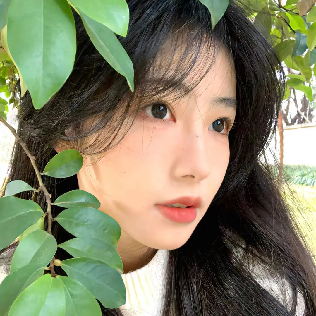 新：大难临头各自飞